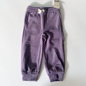 NWT Tea Collection Girl Very Velour Easy Fit Joggers 2T